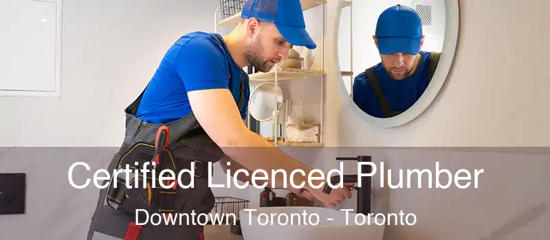 Certified Licenced Plumber Downtown Toronto - Toronto