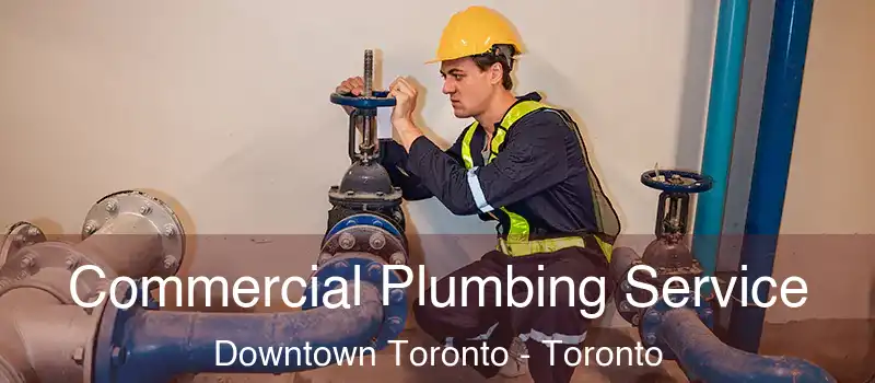 Commercial Plumbing Service Downtown Toronto - Toronto