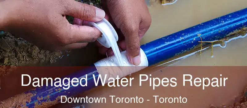  Damaged Water Pipes Repair Downtown Toronto - Toronto