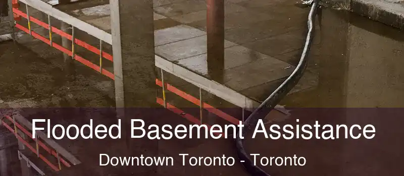  Flooded Basement Assistance Downtown Toronto - Toronto