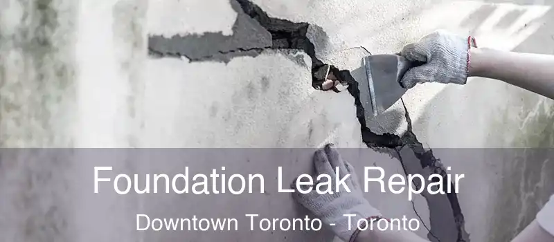  Foundation Leak Repair Downtown Toronto - Toronto