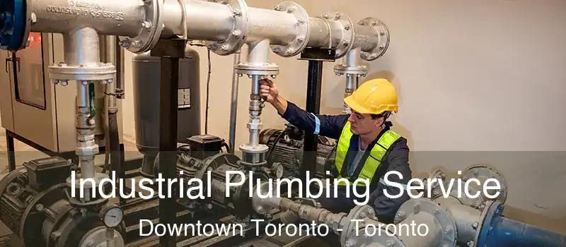  Industrial Plumbing Service Downtown Toronto - Toronto