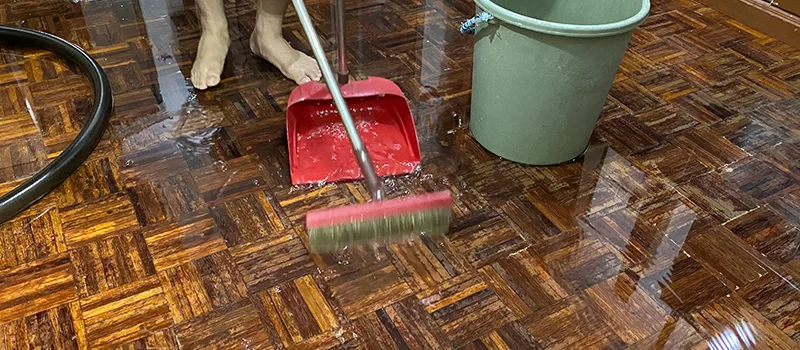 Water Removal And Restoration Services in Downtown Toronto, Toronto