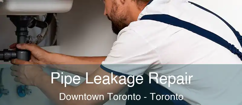 Pipe Leakage Repair Downtown Toronto - Toronto