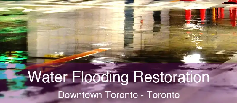 Water Flooding Restoration Downtown Toronto - Toronto
